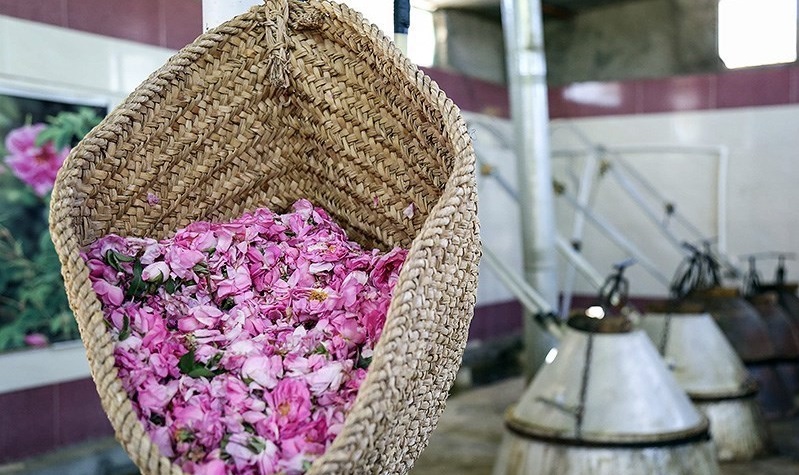 فواید خوردن گلاب قبل از خواب