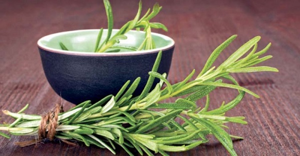 خواص رزماری برای اعصاب / خواص رزماری برای سرماخوردگی