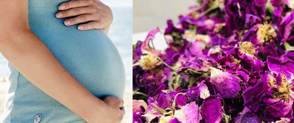 طریقه مصرف گل محمدی / مصرف گل محمدی در بارداری