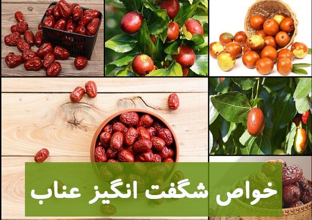خاصیت عناب برای کودکان خاصیت عناب برای کودکان