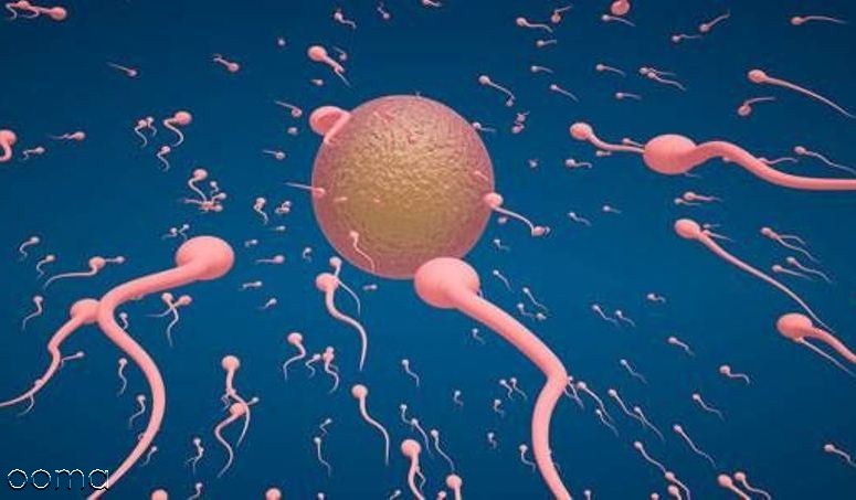 احتمال بارداری با اسپرم کم تحرک