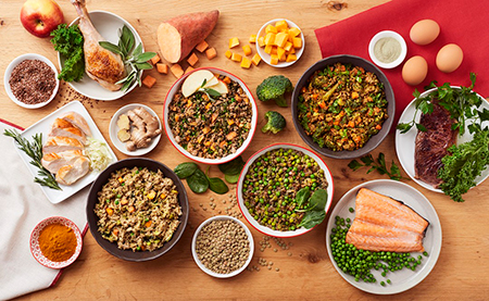 مواد غذایی مناسب برای افراد سودایی مزاج مزاج سودایی با غلبه صفرا, درمان مزاج سودایی, خصوصیات مزاج سودایی