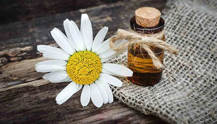 درمان افسردگی با خواص روغن بابونه