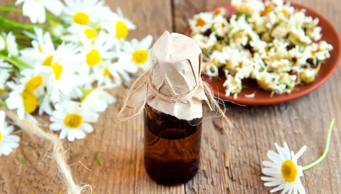 روغن بابونه برای مو