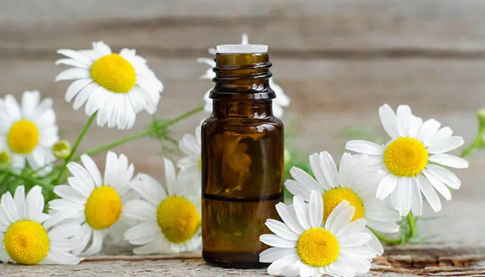 روغن بابونه برای صورت