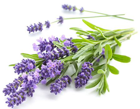 اندومتریوز چیست اندومتریوز چیست