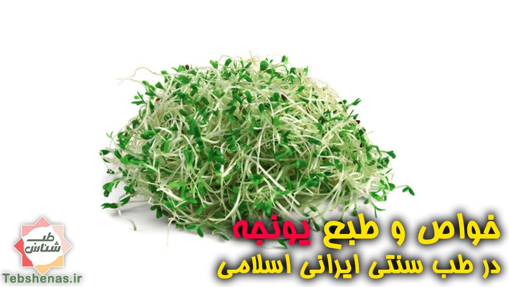 مصلح و طبع عرق یونجه