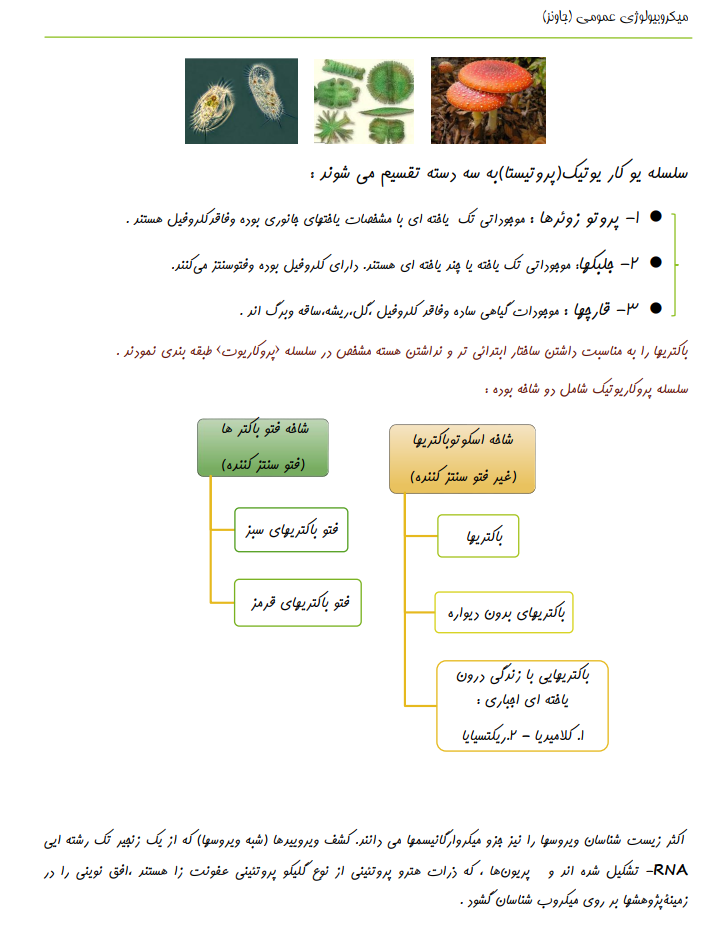خلاصه  کتاب میکروبیولوژی عمومی جاوتز